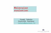 Molecular evolution Fredj Tekaia Institut Pasteur tekaia@pasteur.fr.