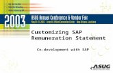 Customizing SAP Remuneration Statement Co-development with SAP.