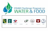 UHOH IFPRI UTalca UfZ INIA ISSERWRI IFU-IMK. Integrating Governance & Modeling Challenge Program Multi-Agent System Modeling: An Application to Water.