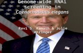 Genome-wide RNAi screening in Caenorhabditis elegans Ravi S. Kamath & Julie Ahringer.