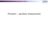 Laboratory of Molecular Genetics, KNU Protein – protein interaction.