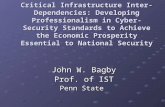 Critical Infrastructure Inter- Dependencies: Developing Professionalism in Cyber-Security Standards to Achieve the Economic Prosperity Essential to National.