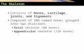 The Skeleton Consists of bones, cartilage, joints, and ligaments Composed of 206 named bones grouped into two divisions Axial skeleton (80 bones) Appendicular