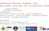 Condensed Matter models for many-body systems of ultracold atoms Eugene Demler Harvard University Collaborators: Ehud Altman, Robert Cherng, Adilet Imambekov,