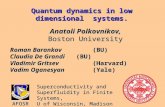 Quantum dynamics in low dimensional systems. Anatoli Polkovnikov, Boston University AFOSR Superconductivity and Superfluidity in Finite Systems, U of Wisconsin,