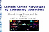 Sorting Cancer Karyotypes by Elementary Operations Michal Ozery-Flato and Ron Shamir School of Computer Science, Tel Aviv University.