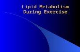 Lipid Metabolism During Exercise. Plasma Free Fatty Acid Metabolism Plasma FFA during exercise result primarily from mobilized lipid stores in adipose.