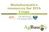 Bioinformatics resources for IITA Crops GO Workshop 3-6 August 2010.