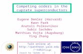 Eugene Demler (Harvard) Kwon Park Anatoli Polkovnikov Subir Sachdev Matthias Vojta (Augsburg) Ying Zhang Competing orders in the cuprate superconductors.
