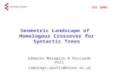 Geometric Landscape of Homologous Crossover for Syntactic Trees Alberto Moraglio & Riccardo Poli {amoragn,rpoli}@essex.ac.uk CEC 2005.