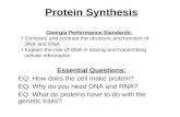 Protein Synthesis Essential Questions: EQ: How does the cell make protein? EQ: Why do you need DNA and RNA? EQ: What do proteins have to do with the genetic.