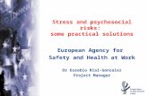 European Agency for Safety and Health at Work Stress and psychosocial risks: some practical solutions Dr Eusebio Rial-Gonzalez Project Manager.
