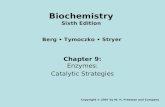 Chapter 9: Enzymes: Catalytic Strategies Copyright © 2007 by W. H. Freeman and Company Berg Tymoczko Stryer Biochemistry Sixth Edition.