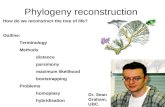 Phylogeny reconstruction How do we reconstruct the tree of life? Outline: Terminology Methods distance parsimony maximum likelihood bootstrapping Problems.