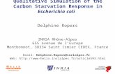 Qualitative Simulation of the Carbon Starvation Response in Escherichia coli Delphine Ropers INRIA Rhône-Alpes 655 avenue de l’Europe Montbonnot, 38334.