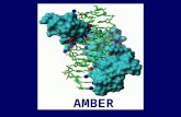 AMBER. AMBER 7 What is AMBER? –A collective name for a suite of programs that allow users to carry out molecular dynamic simulations. –And a set of molecular.