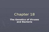 Chapter 18 The Genetics of Viruses and Bacteria.