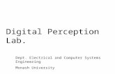 Digital Perception Lab. Dept. Electrical and Computer Systems Engineering Monash University.
