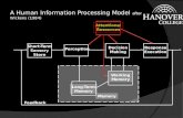 Long-Term Memory Working Memory A Human Information Processing Model after Wickens (1984) Short-Term Sensory Store PerceptionDecision Making Response Execution.