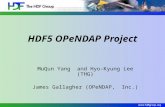 HDF5 OPeNDAP Project MuQun Yang and Hyo-Kyung Lee (THG) James Gallagher (OPeNDAP, Inc.)