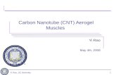 Yi Rao, UC Berkeley1 Carbon Nanotube (CNT) Aerogel Muscles Yi Rao May 4th, 2008.