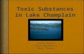 Goals  Determine which chemicals present (or potentially present) in the Lake Champlain basin would cause detrimental effects  Determine the pathways.