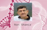 Ron Shamir. Education BS – Mathematics Hebrew University PhD – Operations Research Berkley.