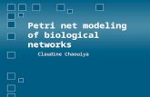 Petri net modeling of biological networks Claudine Chaouiya.