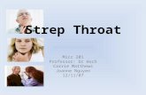 Strep Throat Micr 201 Professor: Dr Hoch Carrie Matthews Joanne Nguyen 12/11/07.