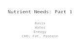 Nutrient Needs: Part 1 Basis Water Energy CHO, Fat, Protein.