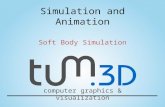 Computer graphics & visualization Soft Body Simulation.