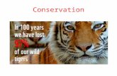 Conservation. Biodiversity: the magic of our planet! Biodiversity found on Earth today consists of many millions of distinct biological species, the product.