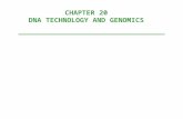 CHAPTER 20 DNA TECHNOLOGY AND GENOMICS. Recombinant DNA- genes from two different sources - often different species - are combined in vitro into the same.