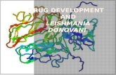 Drug discovery  Protein homology modeling  Leishmania sp. and Kala-azar  Out line of drug development against Leishmania donovani  DNA isolation.