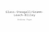 Glass-Steagall/Gramm-Leach- Bliley Andrew Pape. Agenda History and lead up to Glass- Steagall About Glass-Steagall (Banking Act of 1933) Unwinding of.