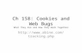 Ch 158: Cookies and Web Bugs What They Are and How They Work Together .