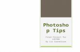 Photoshop Tips Final Project for LRC320 By Liz Cornelison.