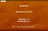 BCM301 Chapter 1: Bioenergetics By: Zatilfarihiah Rasdi Biochemistry II.