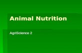Animal Nutrition AgriScience 2 Animal Digestion Review  Digestive system types  Monogastric  Polygastric.