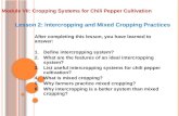 Module VII: Cropping Systems for Chili Pepper Cultivation Lesson 2: Intercropping and Mixed Cropping Practices After completing this lesson, you have learned.