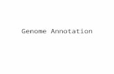 Genome Annotation. Now that you’ve assembled your genome, what is next? GENOME ANNOTATION What is that? Why is it important? How do you do it?