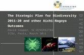 The Strategic Plan for Biodiversity 2011-20 and other Aichi-Nagoya Outcomes David Cooper, SC-DIVERSITAS ICSU, Paris, March 2011.