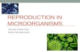 REPRODUCTION IN MICROORGANISMS Vonetta Clarke-Hart Marta Siemiginowski.
