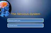 The Nervous System Instructor: Sarah Jones7 th Grade Science.