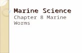 Marine Science Chapter 8 Marine Worms 8.1 FLATWORMS AND RIBBON WORMS The vertical zone of water that extends from the top of the ocean to its bottom.