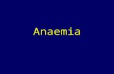 Anaemia. An aemia – from greek meaning ¨lack of blood¨ Anaemia = less than the normal quantity of hemoglobin in the blood Anaemic syndrome = clinical.
