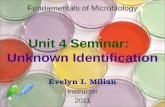 Unit 4 Seminar: Unknown Identification Evelyn I. Milian Instructor 2011 Fundamentals of Microbiology.