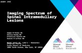 Imaging Spectrum of Spinal Intramedullary Lesions Sagar M Patel DO Alicia Huang MD Francisco Delara MD Daniel R Lefton MD Mount Sinai St. Luke’s - Roosevelt.
