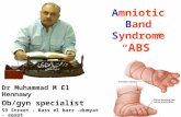 Amniotic Band Syndrome “ ABS ” Dr Muhammad M El Hennawy Ob/gyn specialist 59 Street - Rass el barr – dumyat - egypt .
