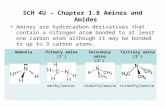 SCH 4U – Chapter 1.8 Amines and Amides Amines are hydrocarbon derivatives that contain a nitrogen atom bonded to at least one carbon atom although it may.